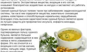 3 рецепта костного бульона