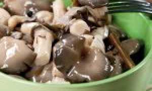 Рецепт Вешенки маринованные с маслом и луком. Калорийность, химический состав и пищевая ценность.