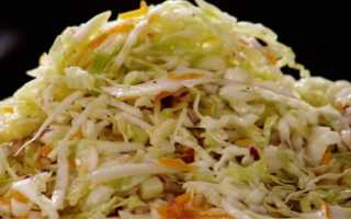 Как сделать малосольную капусту и быстро получить вкусную закуску