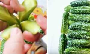 Огурцы с говядиной по корейски. Пошаговый рецепт с фото