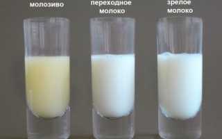 Что можно приготовить из молозива коровы рецепты
