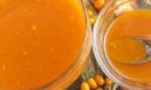 Облепиха с сахаром на зиму без варки – рецепт вкусной и полезной заготовки