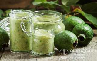 10 самых вкусных рецептов варенья из фейхоа