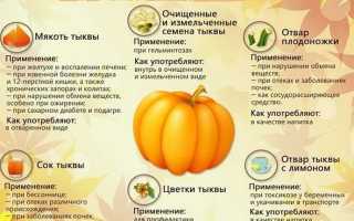 Пирог с тыквой и творогом ? –7 рецептов