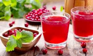 Компот из клюквы на зиму — рецепты со свежей и замороженной клюквы, с добавлением яблок и брусники, видео