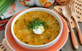 Секреты приготовления вкусного борща со свеклой и свежей капустой